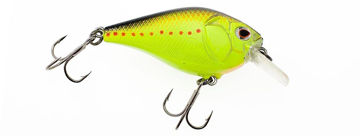 Immagine di Castaic Boyd Duckett BD 1.5 Square bill Crankbait