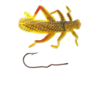 Immagine di Renosky Natural Grasshohopper cavalletta