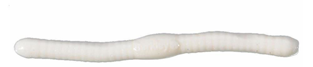 Immagine di Berkley Fat Floating Trout Worm