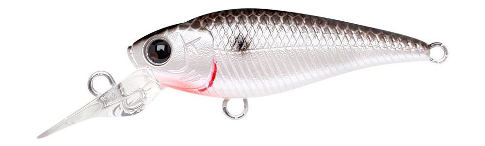 Immagine di Lucky Craft Bevy Shad 40SP
