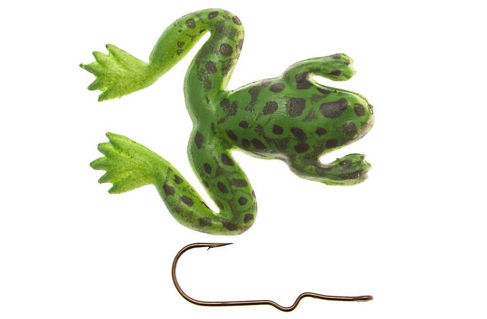 Immagine di Burke Small Frog Bullfrog