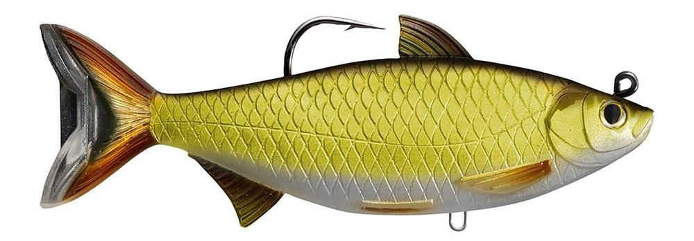 Livetarget Golden Shiner swimbait - Negozio di pesca online Bass