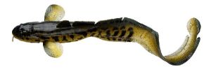 Savage Gear 3D Burbot