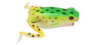 Immagine di Castaic Solid Leg Frog Popper