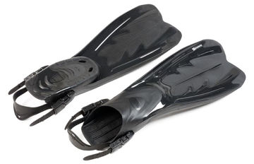 Immagine di Grauvell Fins F 60R