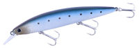Immagine di Lucky Craft Surf Pointer 115 MR