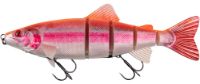 Immagine di Fox Rage Replicant Trout Jointed Shallow