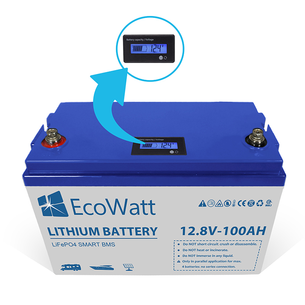 ecowatt batteria al litio lifepo4 smart bms Negozio di pesca online