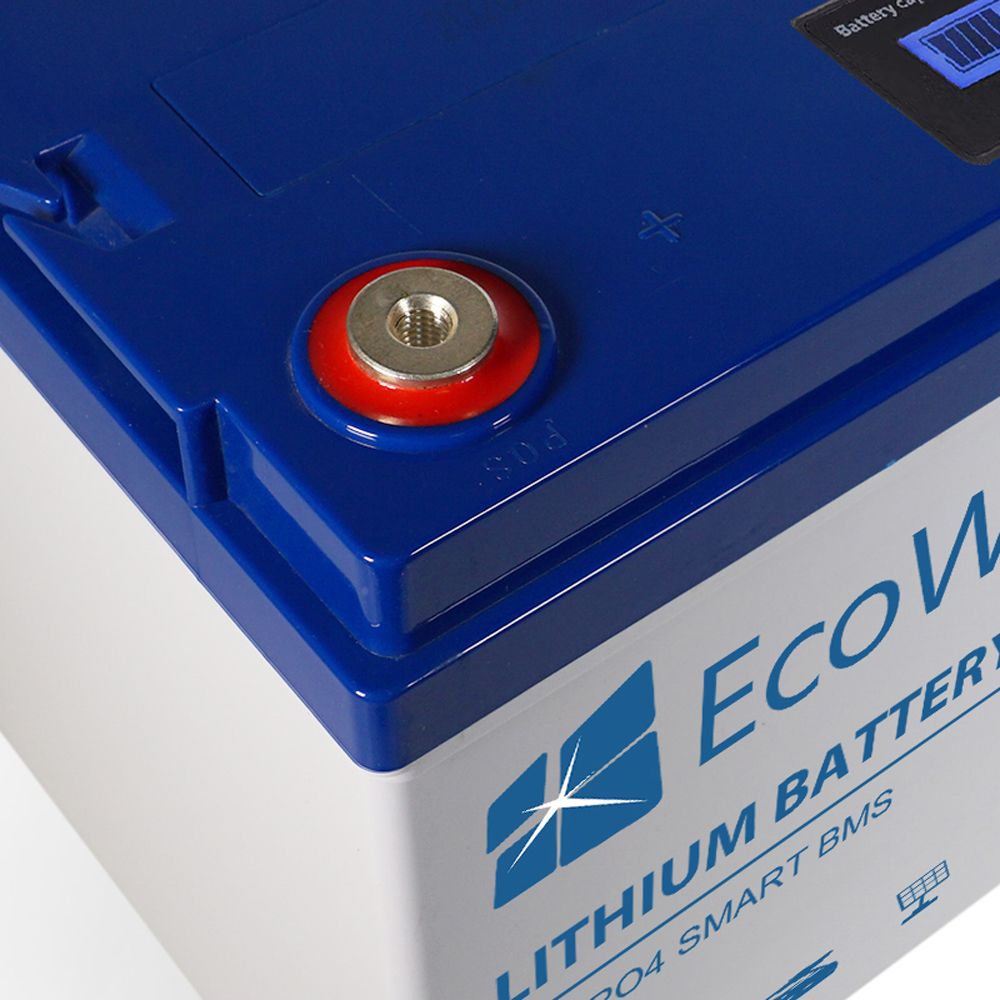 Immagine di Ecowatt Batteria al litio LiFEPO4 Smart BMS