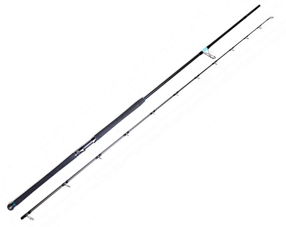 Immagine di Favorite X1 Shore Jigging spinning