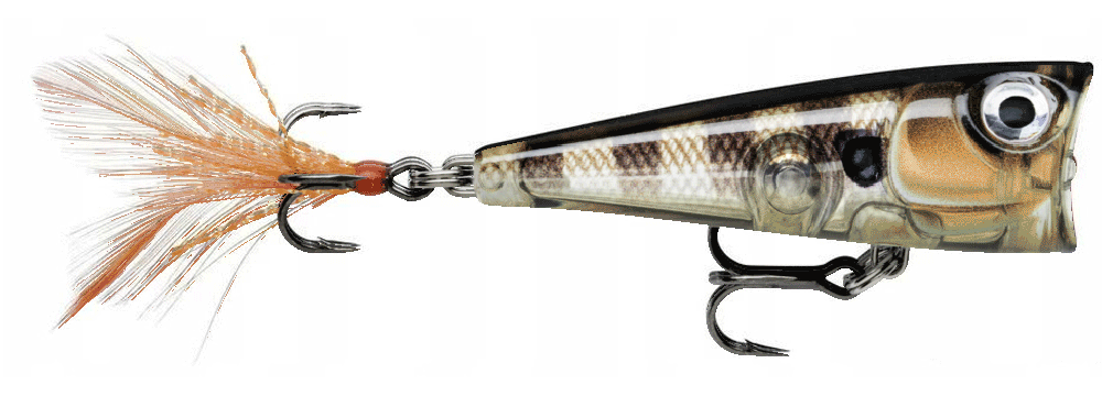 Immagine di Rapala X-Light Pop