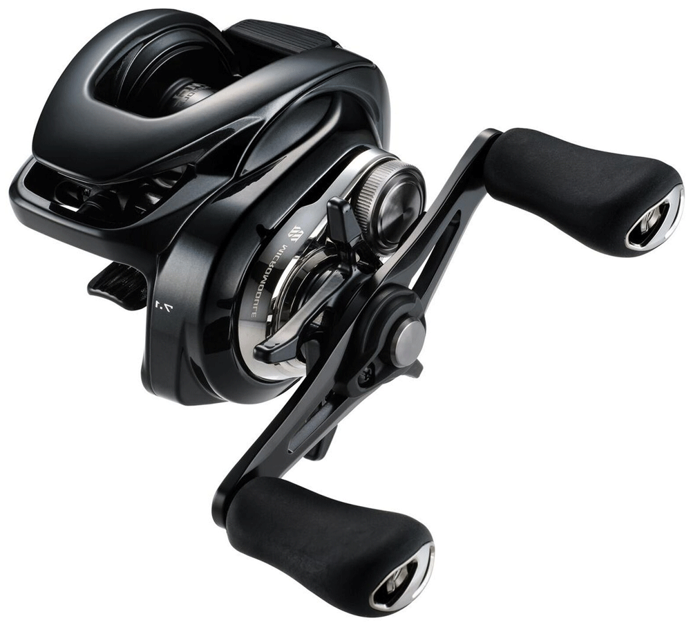 Immagine di Shimano Caius C Casting