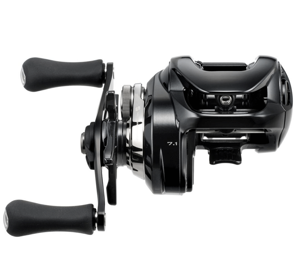 Immagine di Shimano Caius C Casting