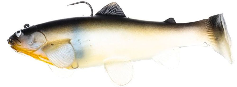 Immagine di Castaic SBT Swimbait