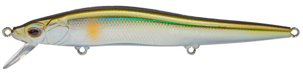 Immagine di Castaic CJ115 Jerkbait