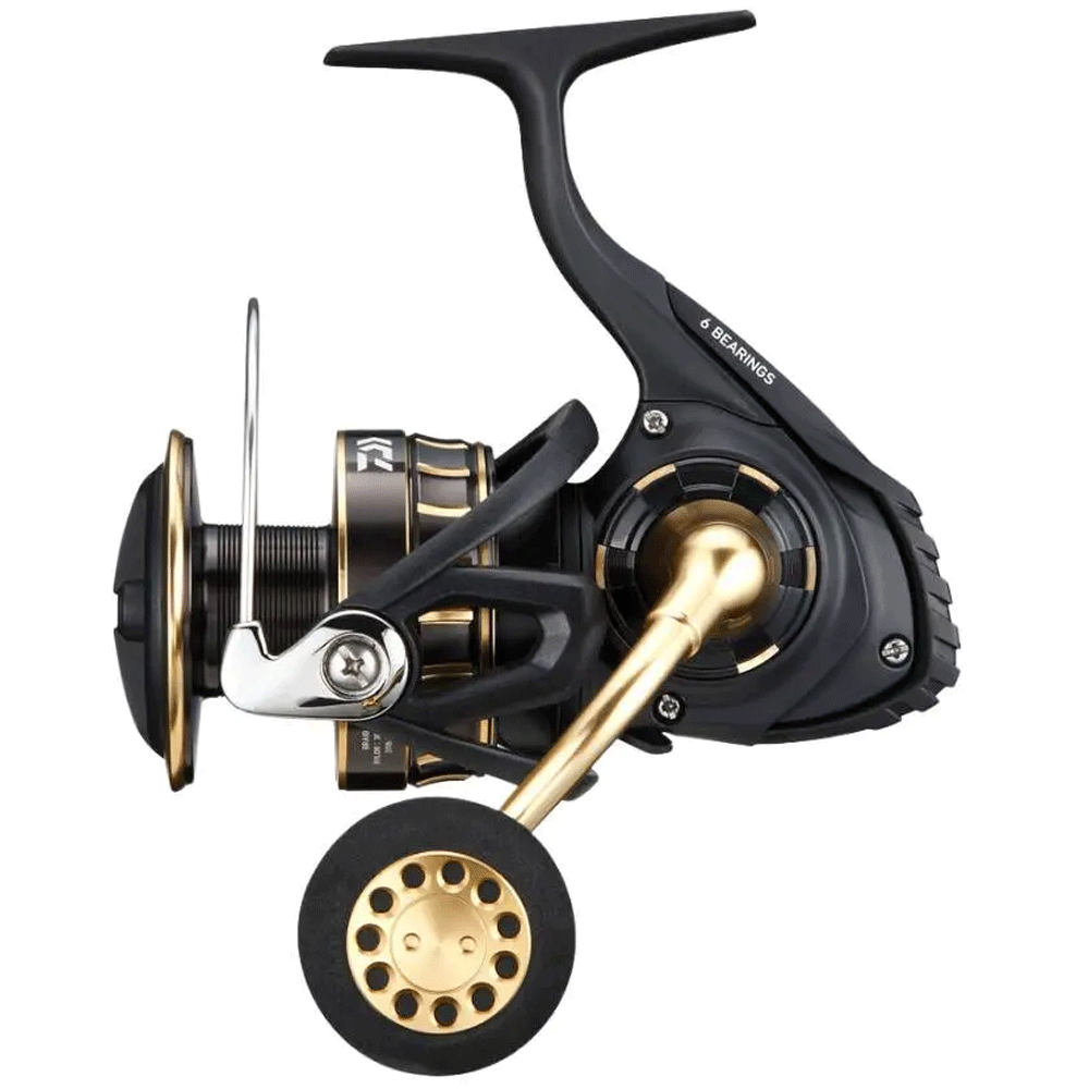 Immagine di Daiwa 23 BG SW Spinning