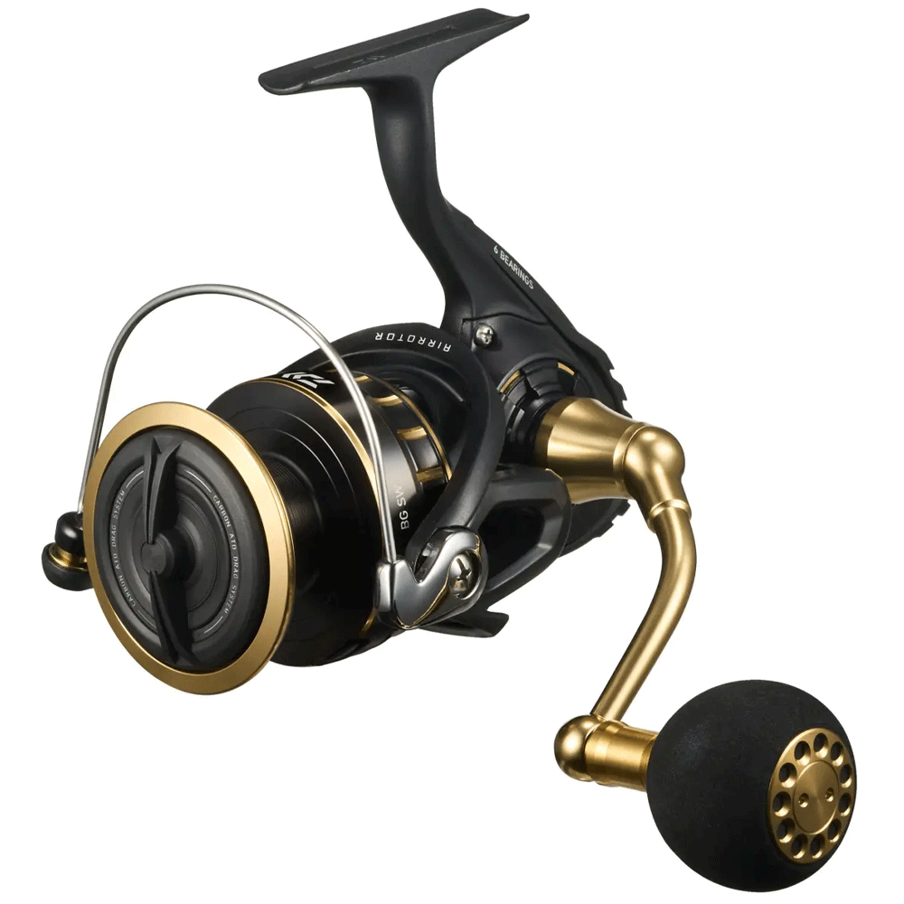 Daiwa 23 BG SW Spinning