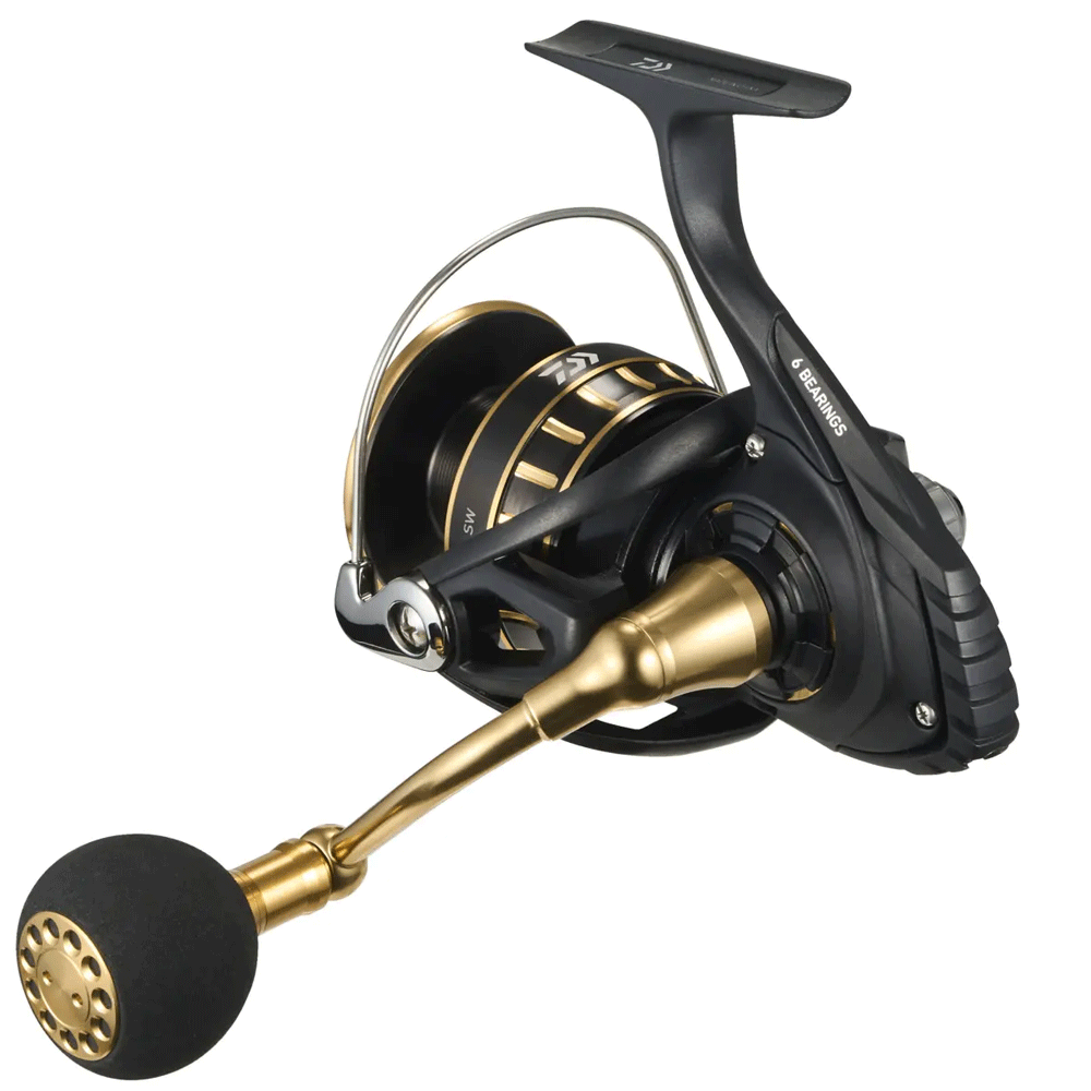 Daiwa 23 BG SW Spinning