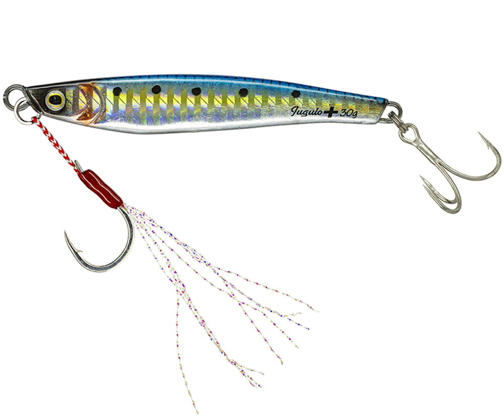 Immagine di Molix Jugulo Plus Casting Jig