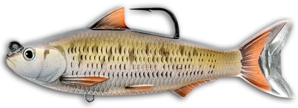 Immagine di Livetarget Common Shiner