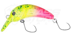 Immagine di YARIE Goat Star