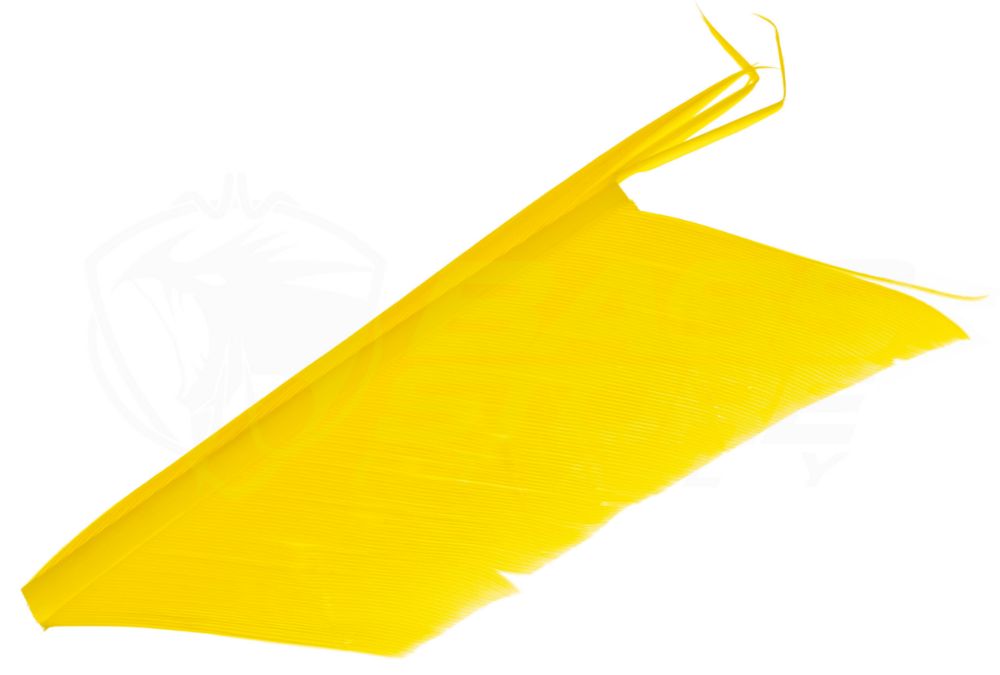 Immagine di JMC Sostituto del Condor