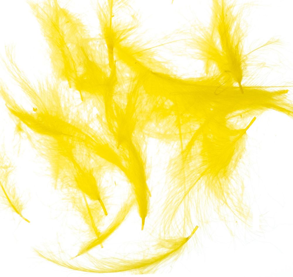 Picture of JMC Cul De Canard Feathers