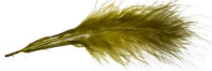 Picture of Marabou feathers