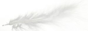 Picture of Marabou feathers