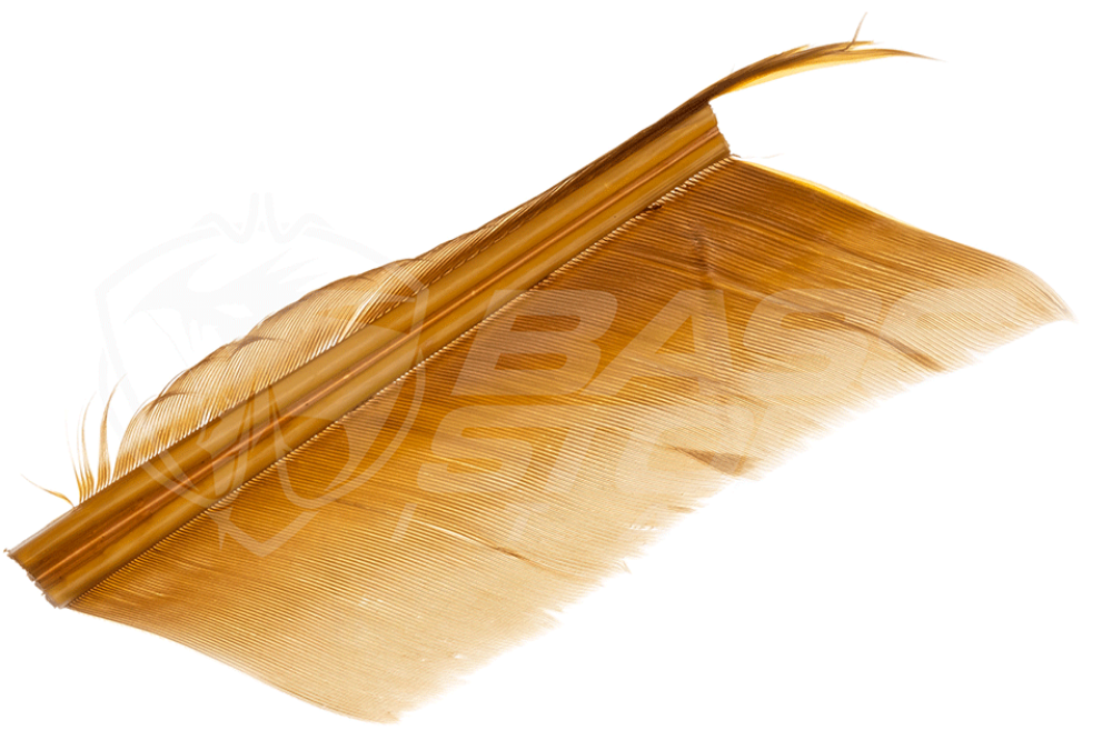 Immagine di JMC Sostituto del Condor