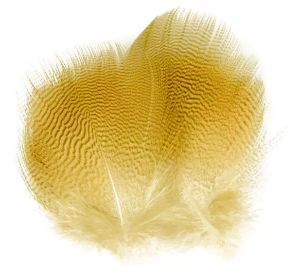 Picture of Mallard flank feathers