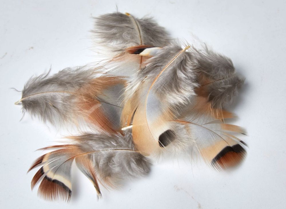 Picture of Natural Red Partridge Feathers