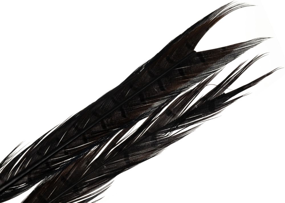 Picture of Pheasant Tail Feathers