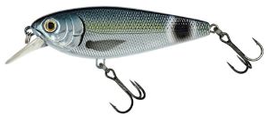 Picture of Molix Brugas R