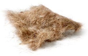 Picture of JMC Pelo extra-corto di orecchio di lepre