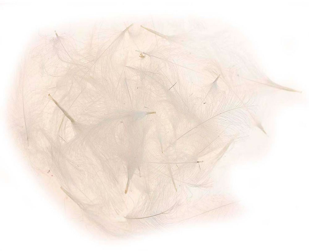 Picture of JMC Cul De Canard Feathers