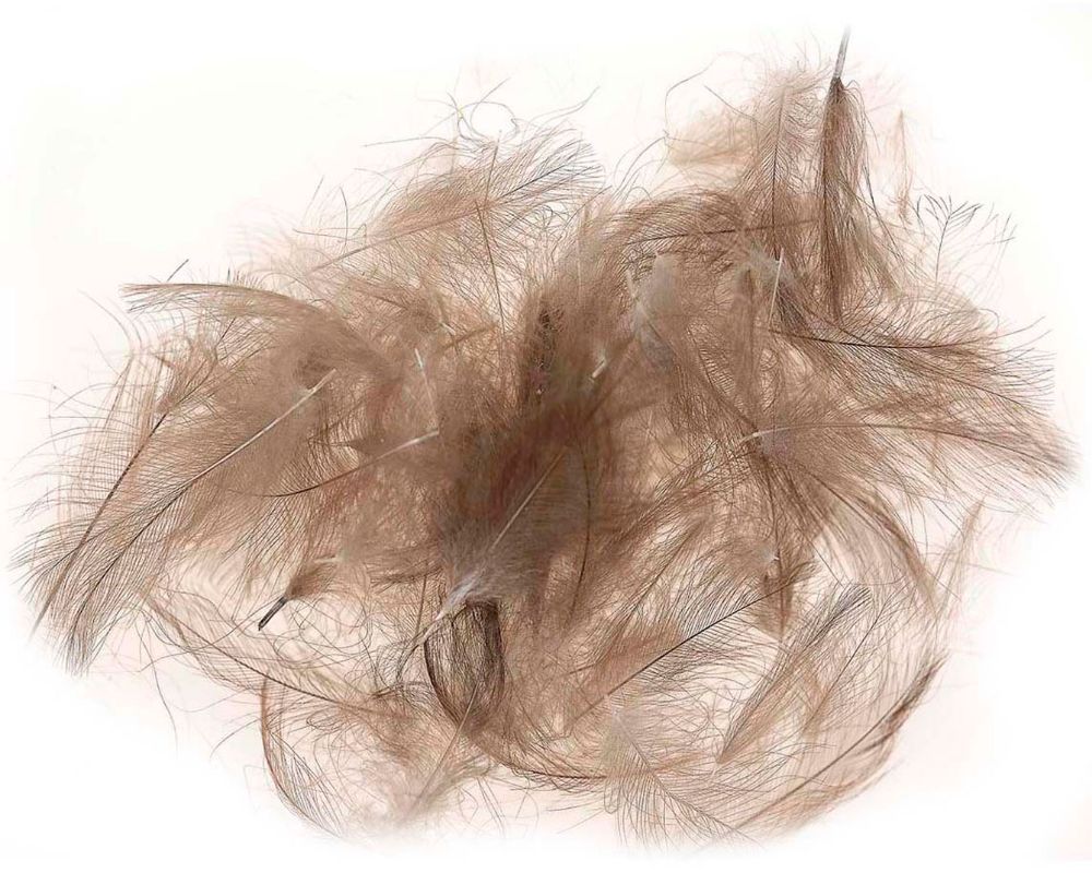 Picture of JMC Cul De Canard Feathers