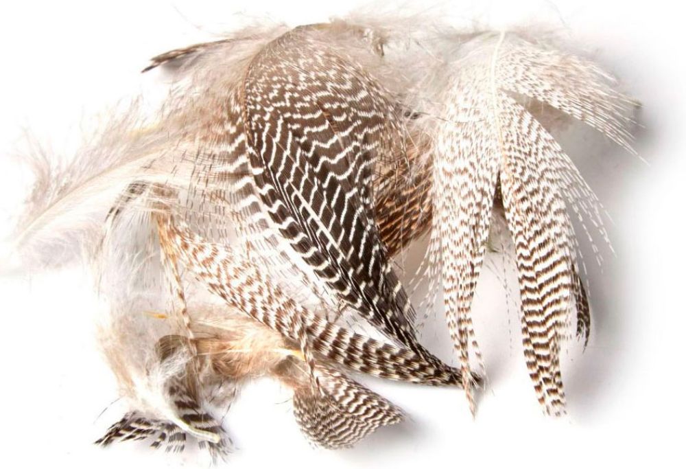 Picture of Duck feathers