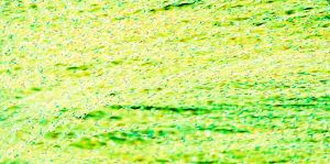 Picture of Textreme Crystal Flash