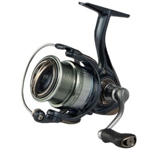 Picture of Favorite Blue Bird Spinning