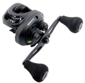 Picture of Favorite X1 Casting