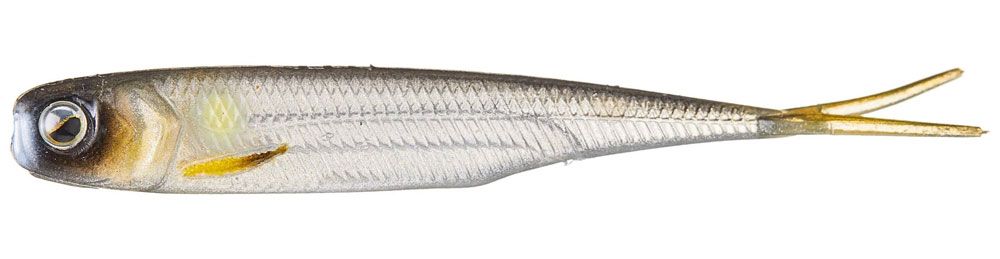 Immagine di Raid Japan Fish Roller