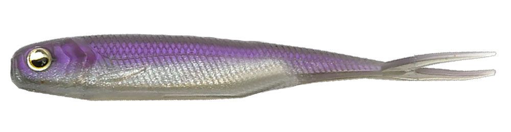 Immagine di Raid Japan Fish Roller