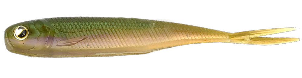 Immagine di Raid Japan Fish Roller