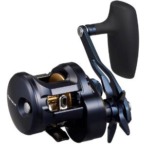 Picture of Daiwa 25 Saltiga 300